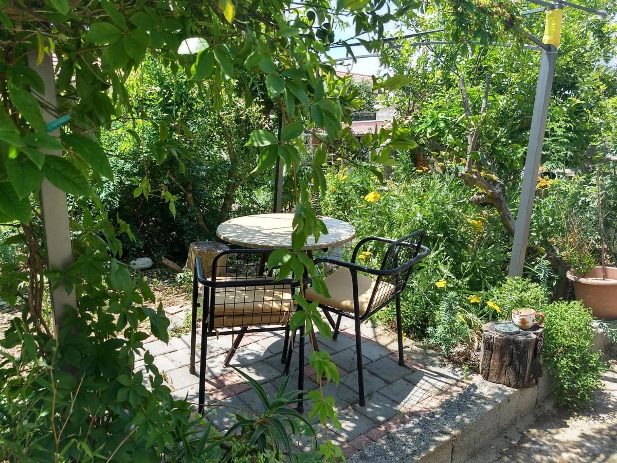 Spacious Garden House, אורביץ מראה חיצוני תמונה